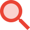 Magnifying glass icon