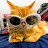 Sherry Monfils avatar