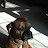 Lucca Rossi avatar