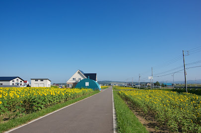 これから満開