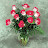 Catherine Ferensic avatar