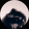 Zircon Gerbil
