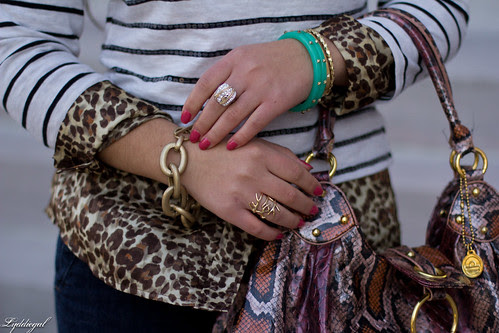 stripes over leopard-3.jpg