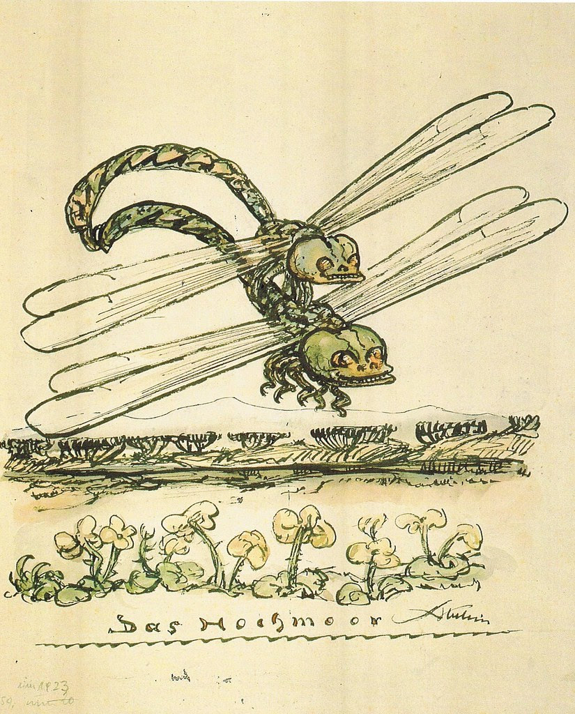Alfred Kubin - Das Hochmoor