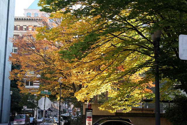autumn, o'bryant square
