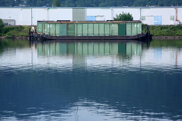 Willamette River at McCarthy Park