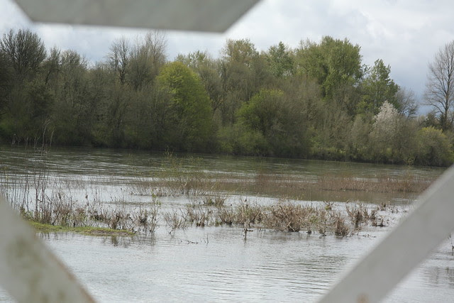 Wheatland Ferry