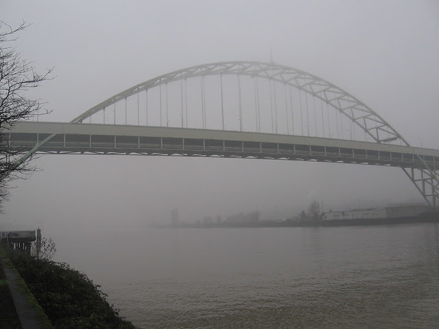 fog_fremont