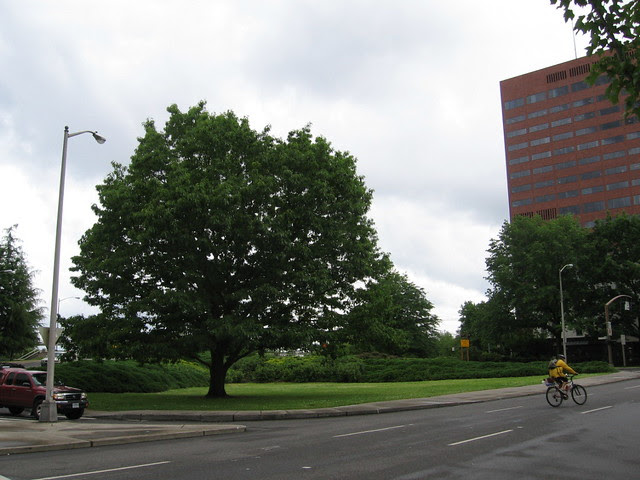 1st_madison