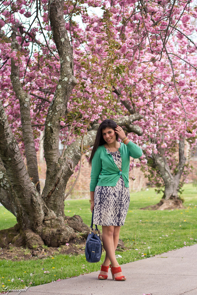 cherry blossoms-2.jpg