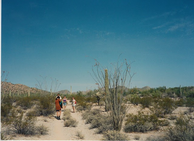 Organ Pipe Cactus National Monument