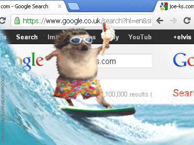 This gif shows a cartoon hedgehog wearing sunglasses, swimming shorts whilst holding an ice cream and riding a wave on a surfboard. Behind him there is a moving image of a webpage where Google search is open. 
