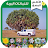 الأطلس المصور للنباتات البرية icon
