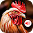 Animal Ringtones icon